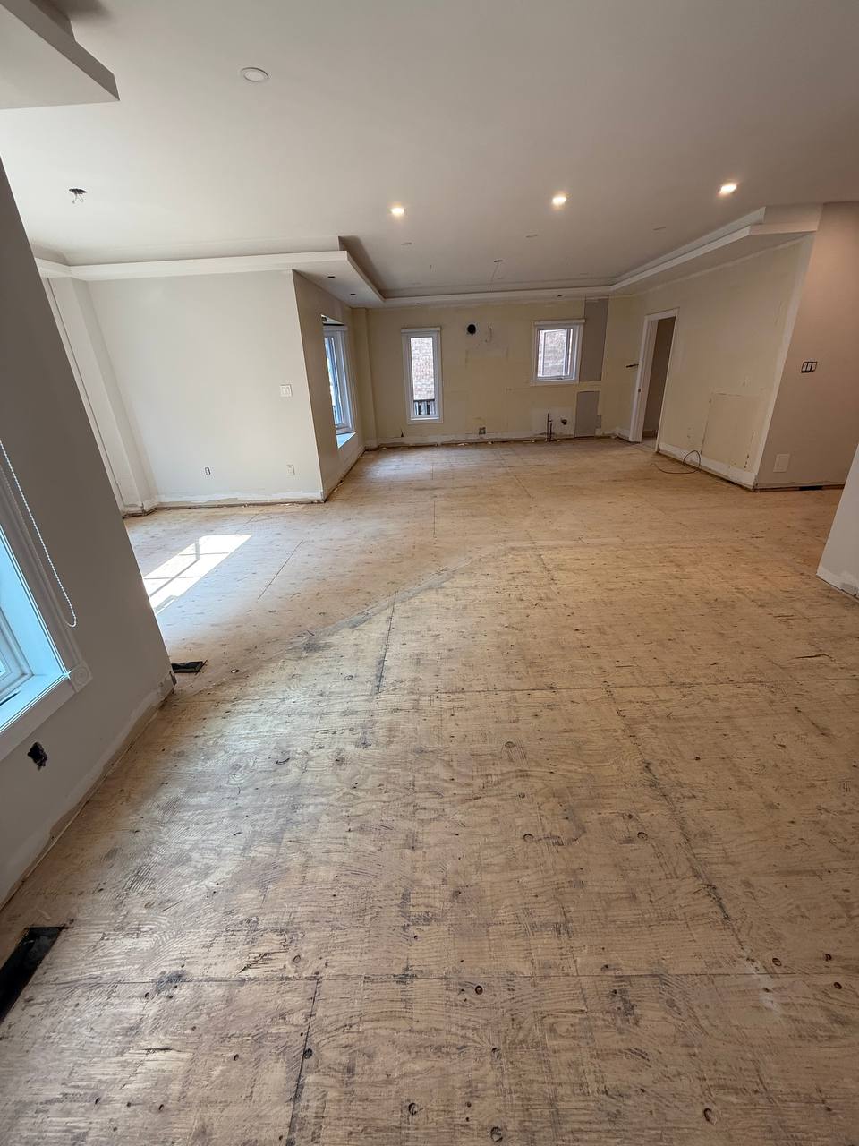 Wall & Partition Demolition